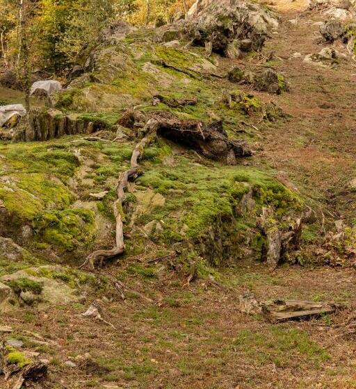 Bed and Breakfast Eco Resort Parco Botanico Fiorlago