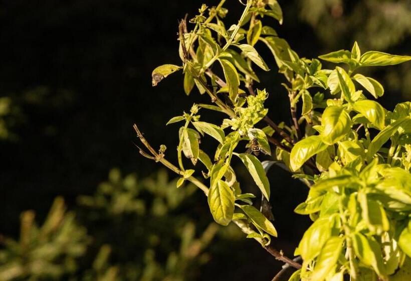 Bed and Breakfast Eco Resort Parco Botanico Fiorlago