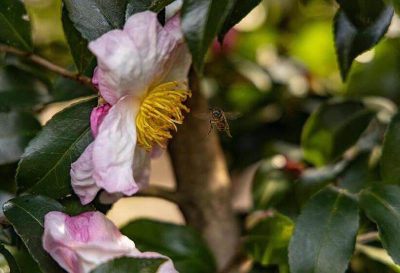 Bed and Breakfast Eco Resort Parco Botanico Fiorlago