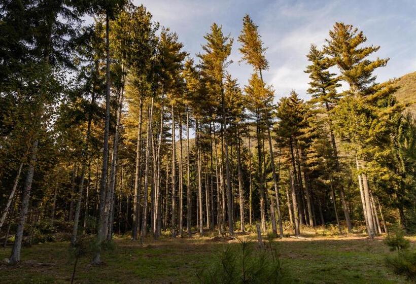 Bed and Breakfast Eco Resort Parco Botanico Fiorlago