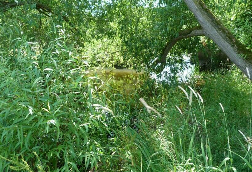 住宿加早餐 Mill Lodge Cheshire