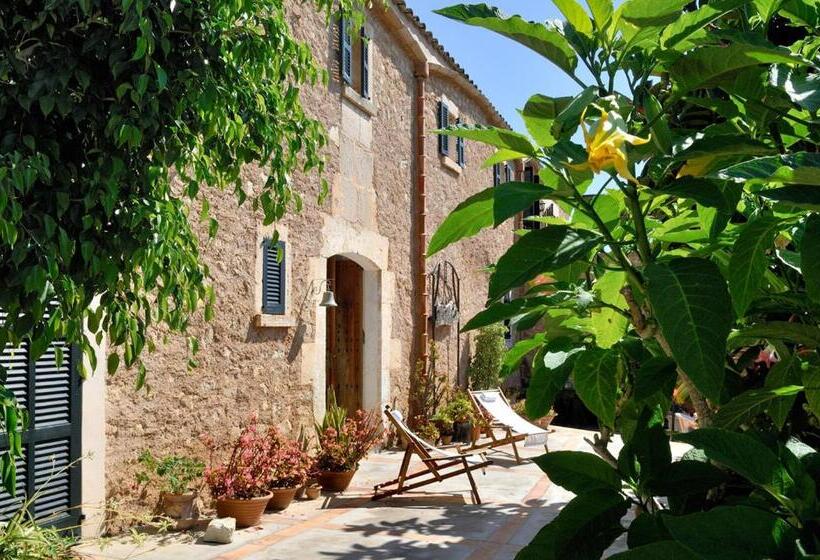 هتل Agroturismo Sa Vall