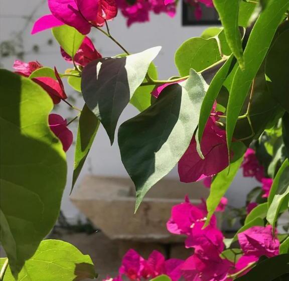 پانسیون A Gosto