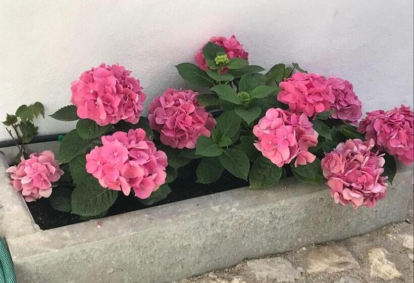 پانسیون A Gosto