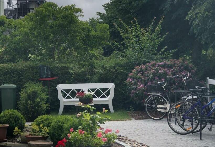 פנסיון Villa Baltia