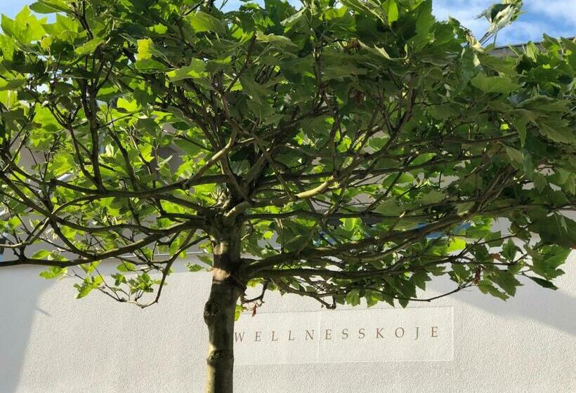 פנסיון Villa Baltia