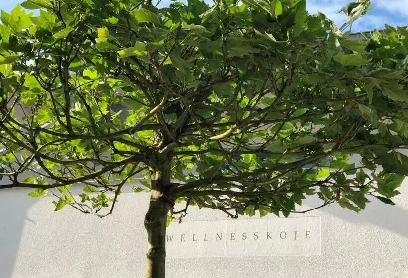 Majatalo Villa Baltia