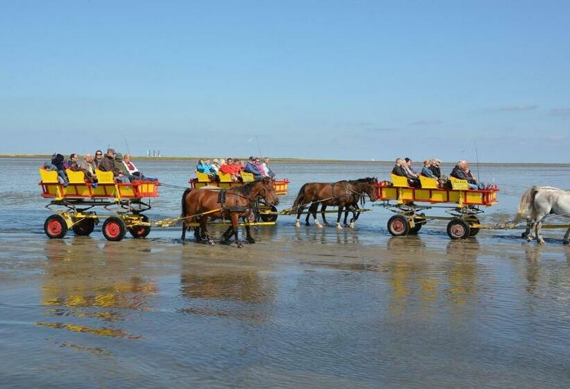 هاستل Kenny & Henry