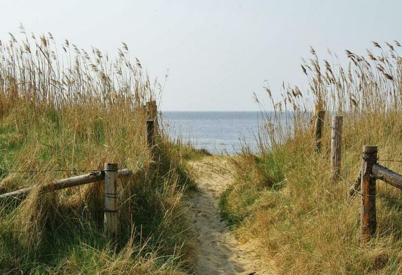 هاستل Kenny & Henry