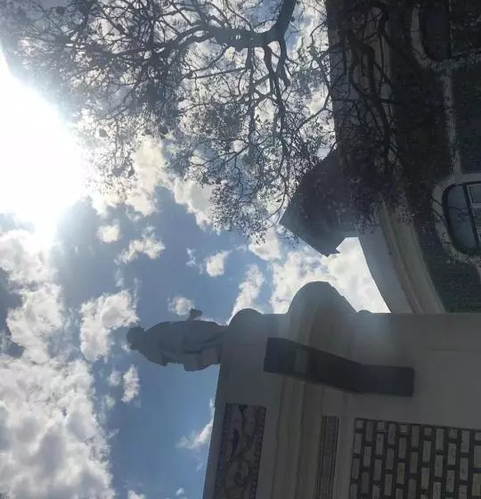 Retkeilymaja Wood Steel & Glass