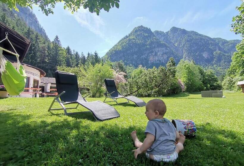 צימר Pension Almhof Baumgarten