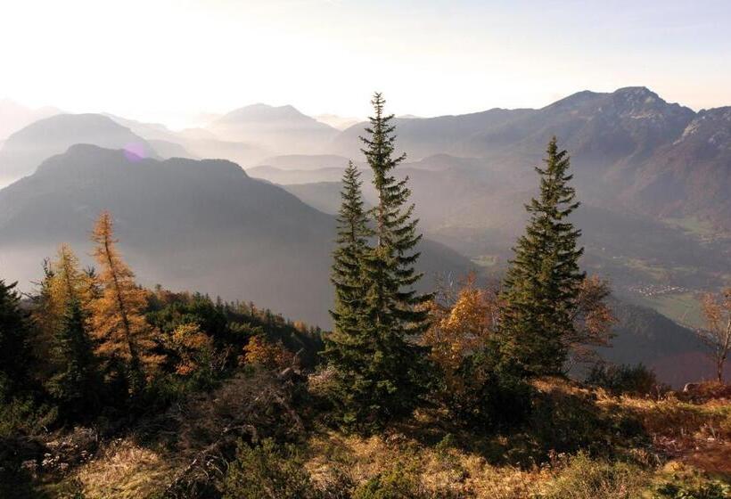 צימר Pension Almhof Baumgarten