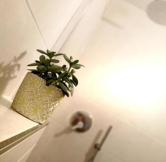 צימר Pension Almhof Baumgarten