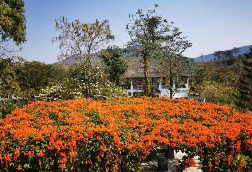 Chez Piera Resort