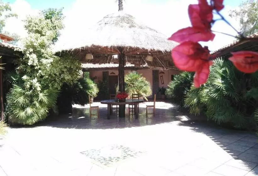 ホテル Agriturismo La Mimosa