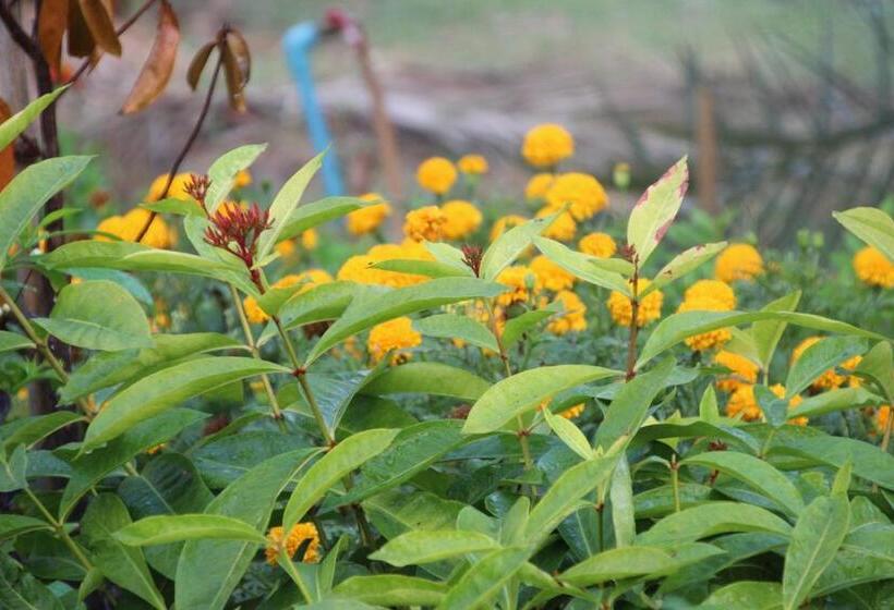 Pensão Ban Ing Suan