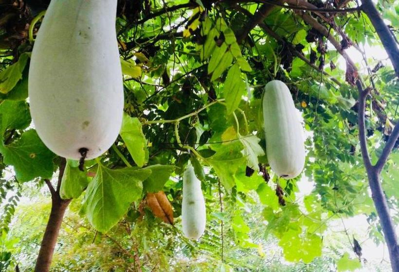 Pensão Ban Ing Suan