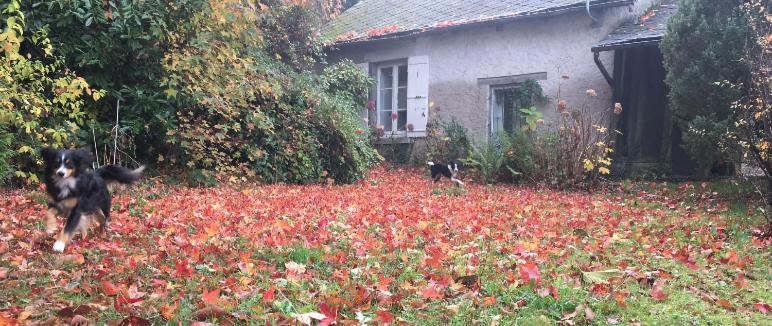 פנסיון Maison Lyre, Pompadour