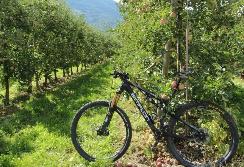 Bed & Breakfast Castel De Daval