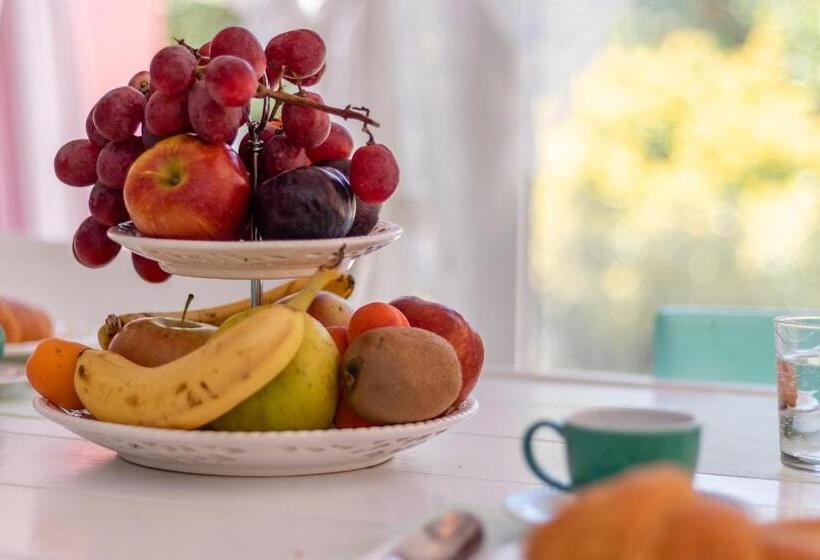 צימר Garden Loft