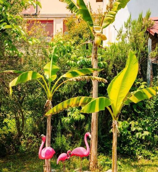 צימר Garden Loft