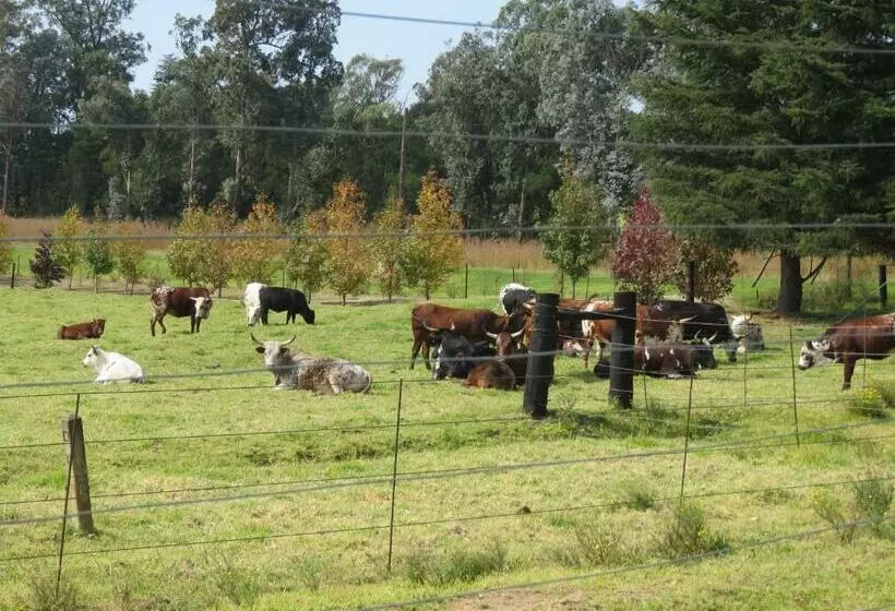 Dunroamin Bed And Breakfast