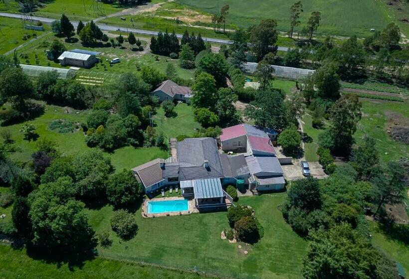 Dunroamin Bed And Breakfast