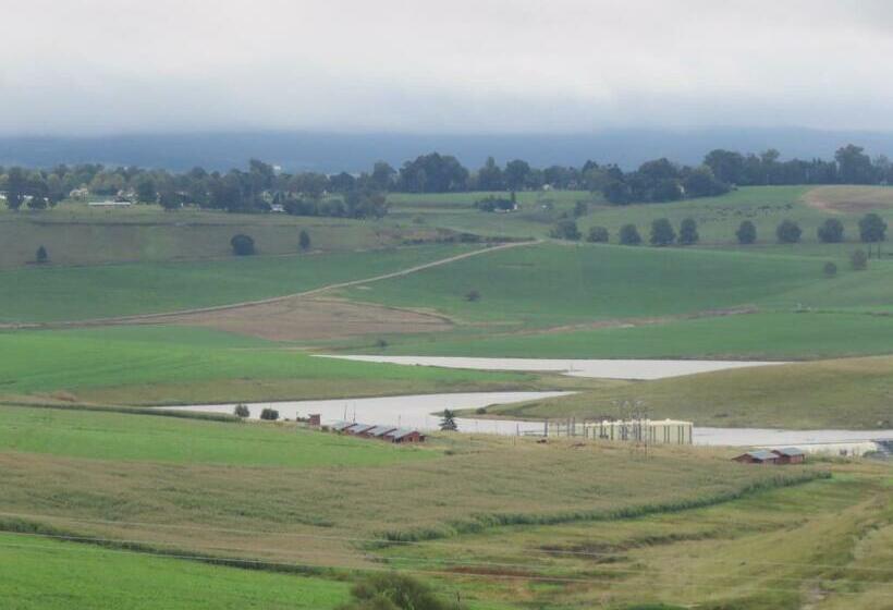 Dunroamin Bed And Breakfast