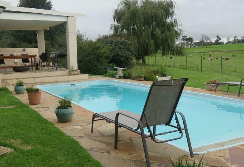 Dunroamin Bed And Breakfast