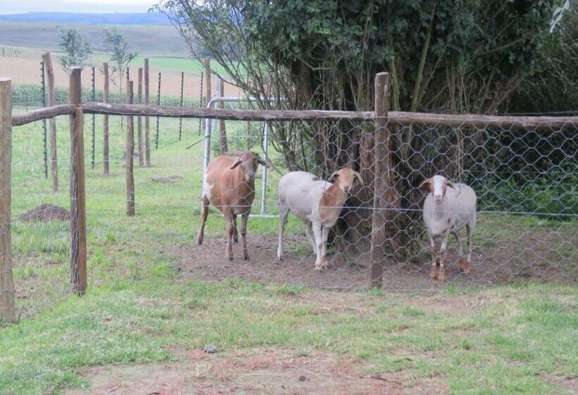 Dunroamin Bed And Breakfast