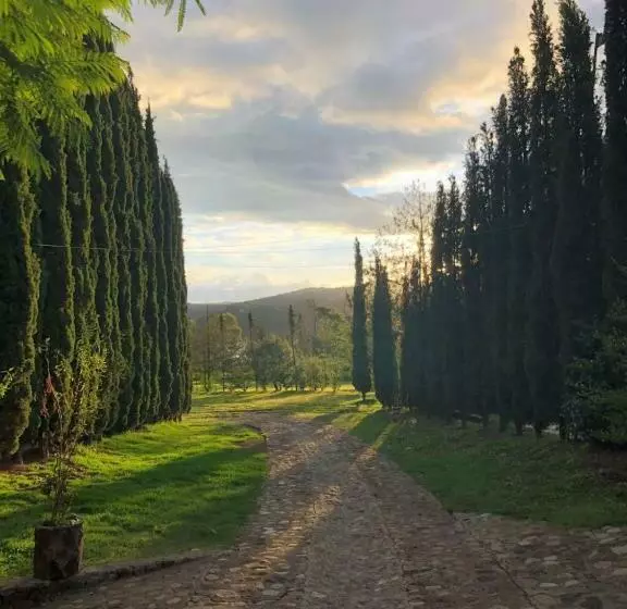 Hotelli Boutique Calderon