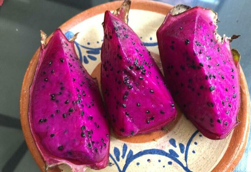 فندق Boutique Calderon