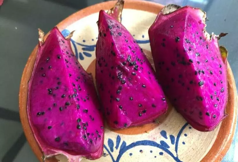 Hotelli Boutique Calderon