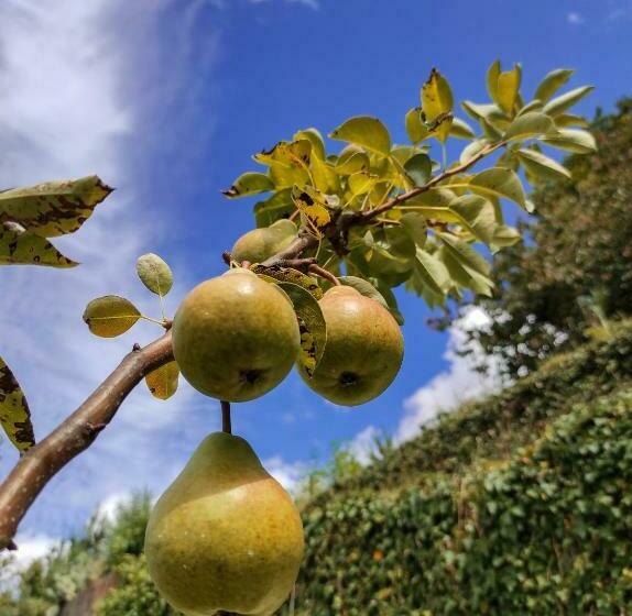 هتل Pera Da Serra   Turismo No Espaço Rural