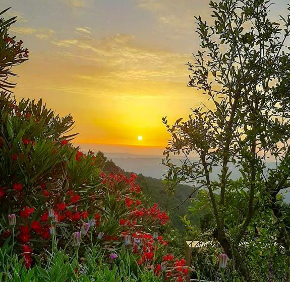 هتل Pera Da Serra   Turismo No Espaço Rural