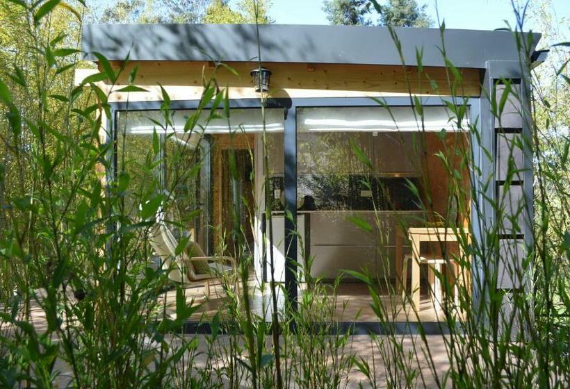 Pensjonat Bamboo Guest House