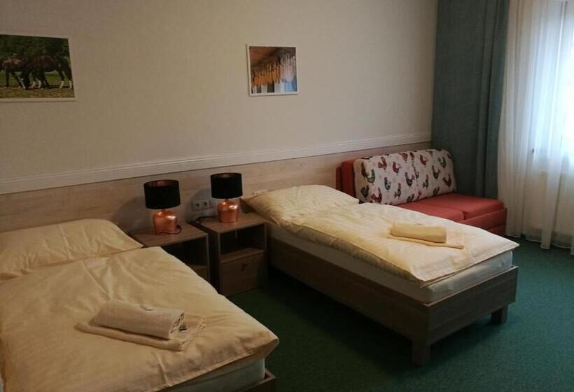 بنسيون Penzión Uhliská A Depandance Gazdovský Dom