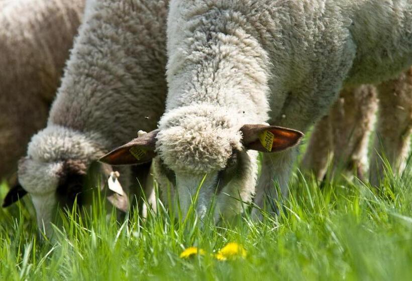 بنسيون Penzión Uhliská A Depandance Gazdovský Dom