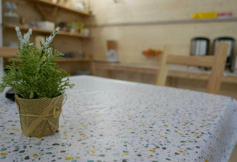 住宿加早餐  Casa Das Termas