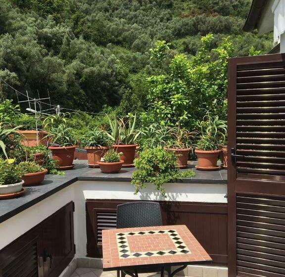 پانسیون Affittacamere Alfrantoio