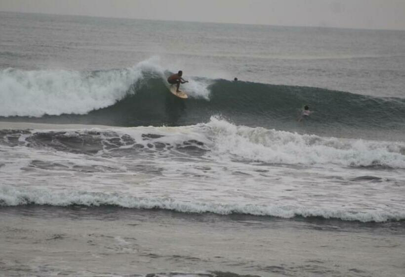 膳宿费 The Nyamo Surf & Stay