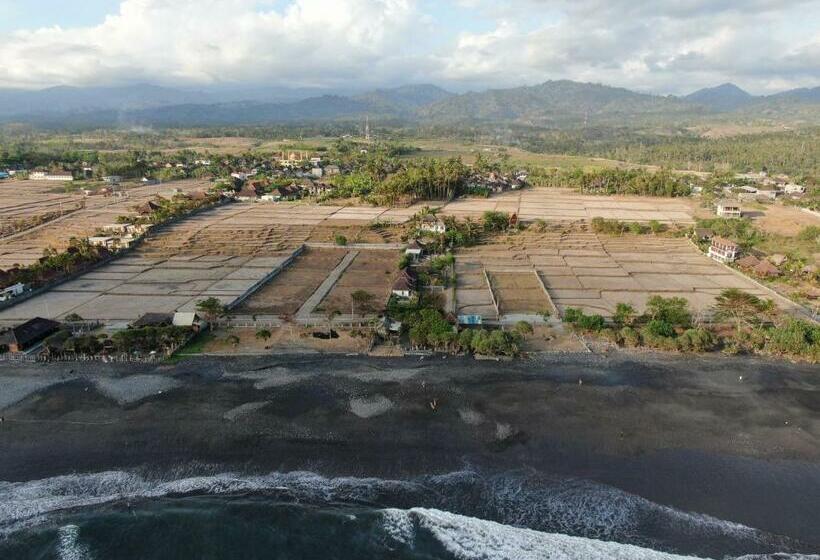 膳宿费 The Nyamo Surf & Stay