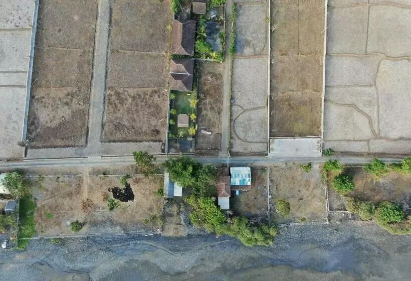 ペンション The Nyamo Surf & Stay