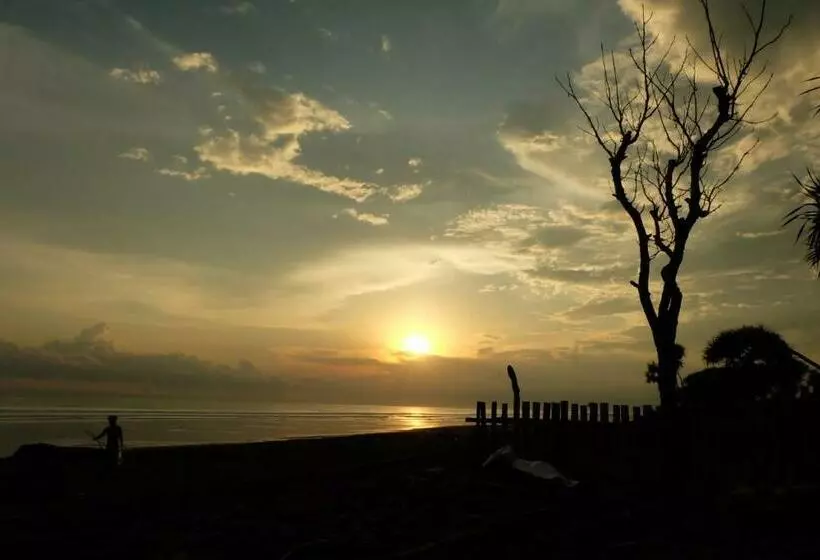 ペンション The Nyamo Surf & Stay