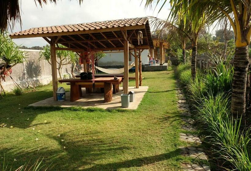 膳宿费 The Nyamo Surf & Stay