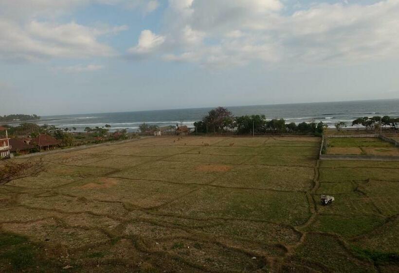 膳宿费 The Nyamo Surf & Stay