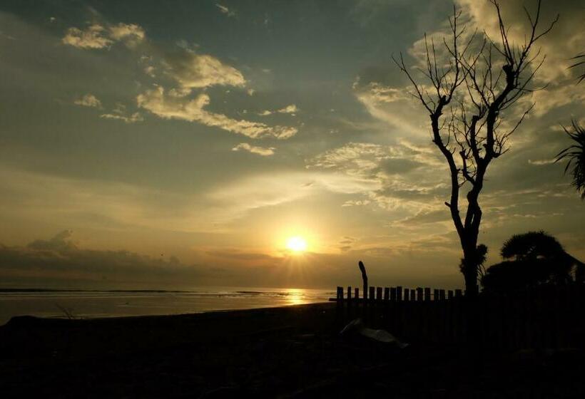 膳宿费 The Nyamo Surf & Stay