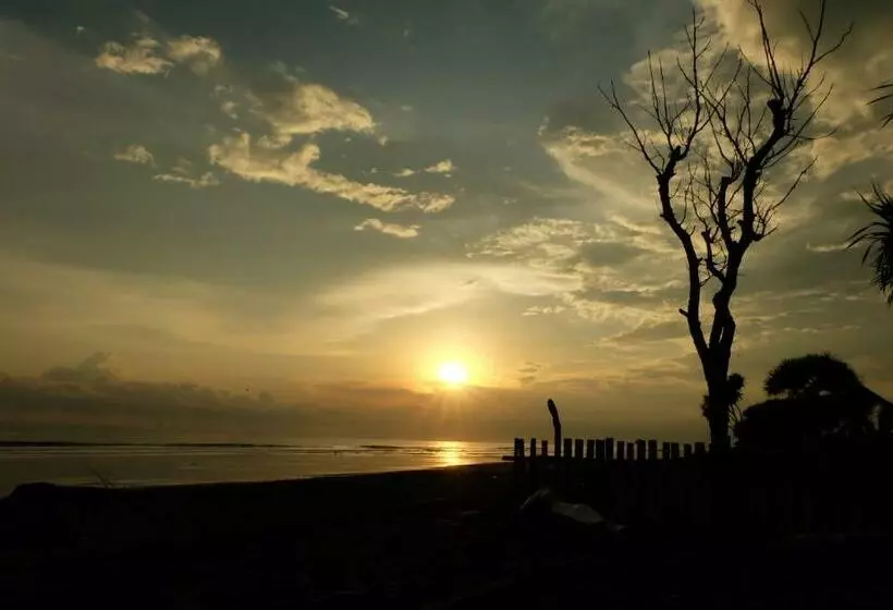 ペンション The Nyamo Surf & Stay