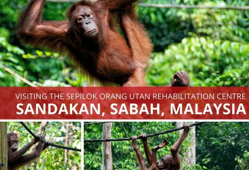 Gloria Swiss Hotel & Apartment Sandakan