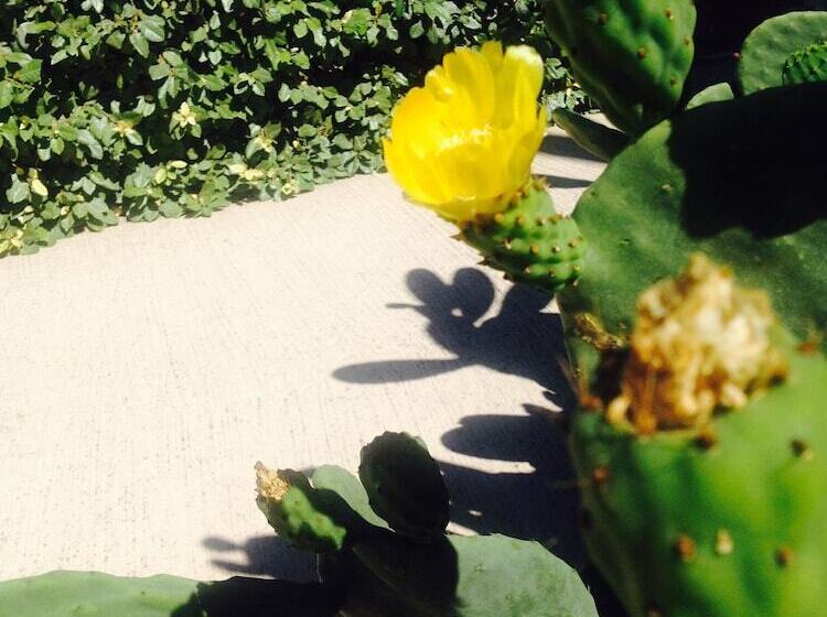 Alghero Resort Country Hotel & Spa